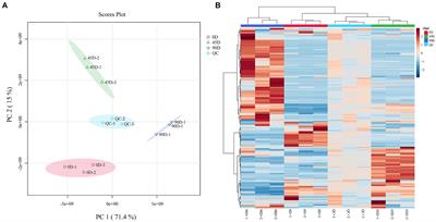 Non-targeted metabolomic analysis of non-volatile metabolites in a novel Chinese industrially fermented low-salt kohlrabi
